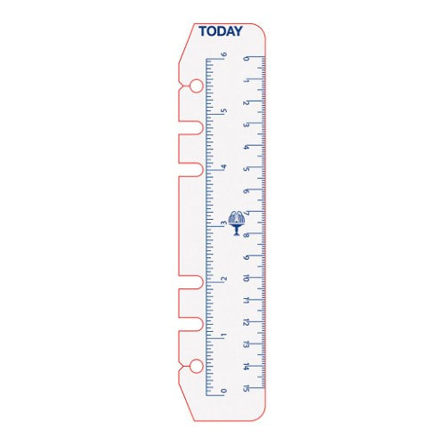 Debden Personal Dayplanner Today Ruler, Pack of 2