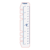 Debden Personal Dayplanner Today Ruler, Pack of 2