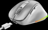 Genius Ergo 9000S Pro Silent Ergo Mouse - Silver