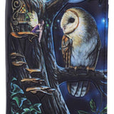 Lisa Parker Fairy and Owl Purse 18.5cm - Nemesis Now
