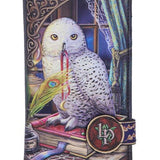 Guardian of Spells Embossed Purse by Lisa Parker 18.5cm - Nemesis Now