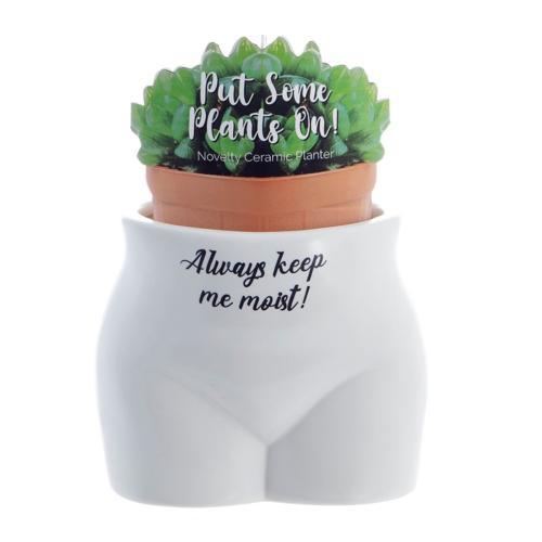 Always Keep Me Moist Novelty Plant Pot - Pack of 3