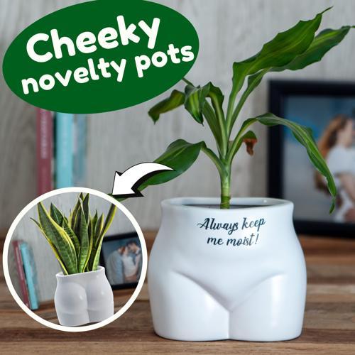 Always Keep Me Moist Novelty Plant Pot - Pack of 3