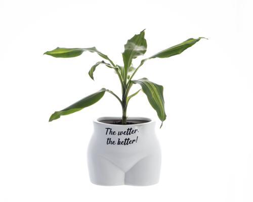 The Wetter The Better Novelty Plant Pot - Pack of 3