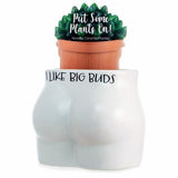 I Like Big Buds Novelty Plant Pot - Pack of 3