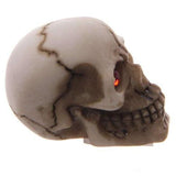 Gruesome Skull Decoration with Red Gem Eyes - Pack of 12