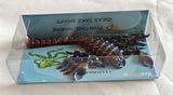 3D Printed Scorpion B 14x11.8cm - Pack of 6