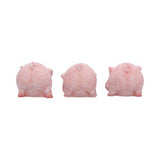 Three Wise Playful Pigs 8.4cm - Nemesis Now