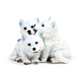 Wolf Puppies Trio - Pack of 2