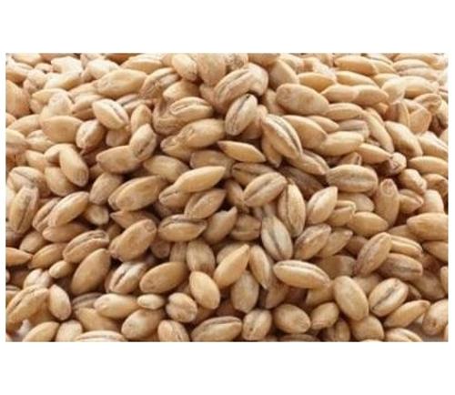 BARLEY PEARL 1KG  - Balars
