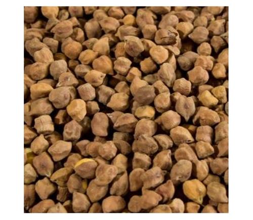 CHANA BROWN  - Tyson - 25KG