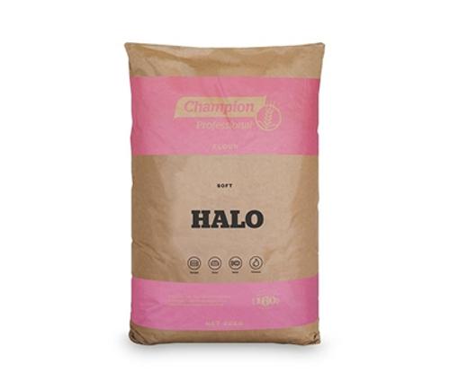 FLOUR HALO/SOFT 20KG  - Champion