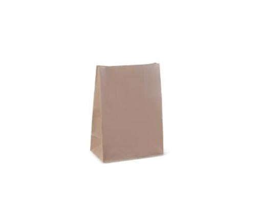 BAGS CHECKOUT 325x300x160MM MED 250s  - Essentials