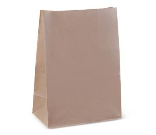 BAGS CHECKOUT 300x260x135MM SML 250s  - Essentials