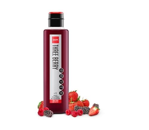 SYRUP FRUIT NATURAL THREE BERRY 1L  - Shott