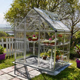 Maze 6' X 4' Walk In Greenhouse - Harmony