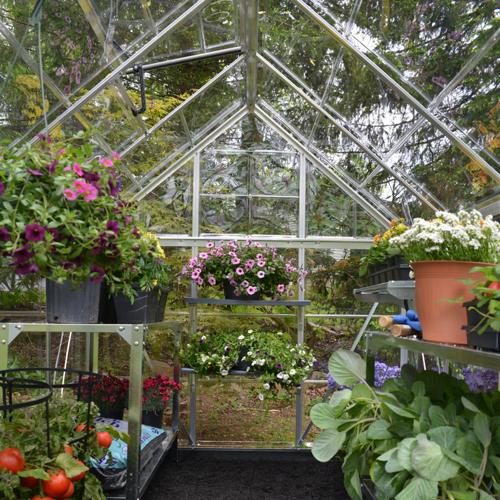 Maze 6' X 8' Greenhouse - Harmony