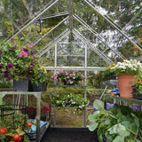 Maze 6' X 8' Greenhouse - Harmony