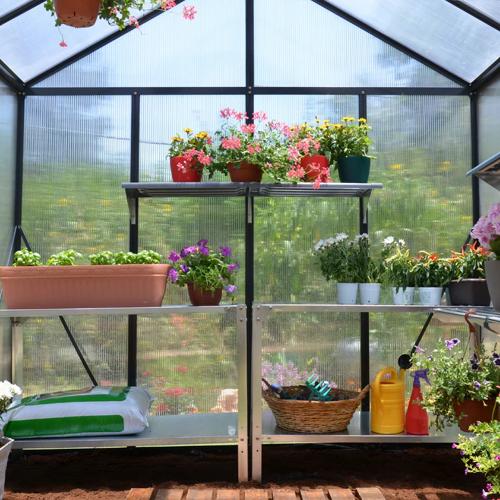 Maze Greenhouse Glory