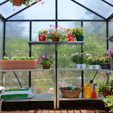 Maze Greenhouse Glory