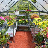 Maze Hybrid 6' X 8' Greenhouse - Charcoal