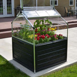 Maze Plant Inn