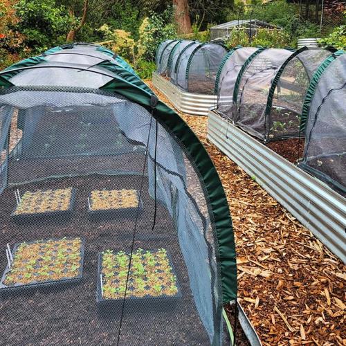 Maze Net Tunnel (2X1X1M)