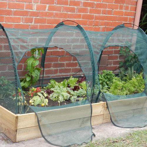 Maze Net Tunnel (2X1X1M)