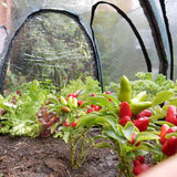 Maze Poly Tunnel (2X1X1M) ESPT2001