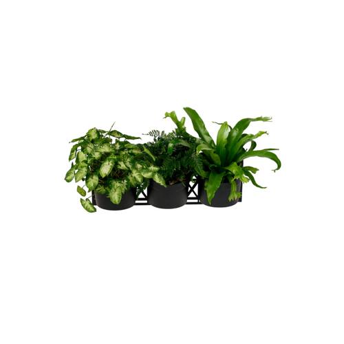 Maze 3 Pot Vertical Garden