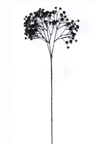Black Gypsophila Filler (Set of 12)