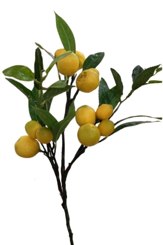 LEMON SPRAY (Set of 3)
