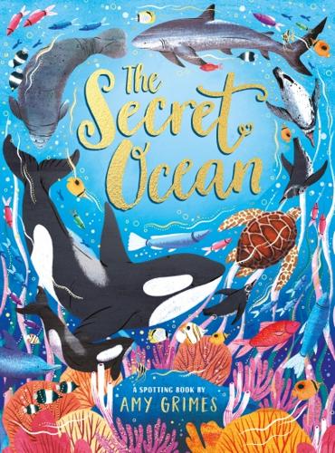 The Secret Ocean by Amy Grimes – Hardback Book
