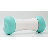 Pet Toy - CHEERBLE WICKED BONE SE MINT