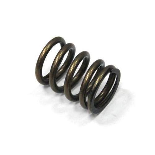 INLET VALVE SPRING PSYCHIC HEAVY DUTY RMZ450 08-24 RMX450 10-17