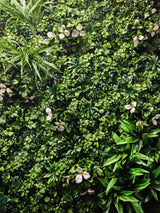 Artificial Green Wall Foliage Mat - 100 x 100cm