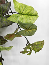 Artificial Hanging Velvet Nephthytis Leaf - Green