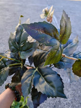 Artificial Sycamore Leaf Bush - Green and Red