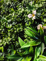 Artificial Green Wall Foliage Mat - 100 x 100cm