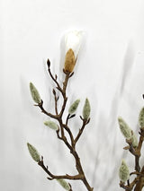 Artificial Magnolia Flower Bud Spray