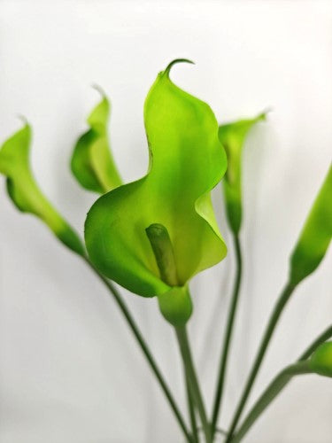 Artificial Calla Lily Flower Stem - Large - Green