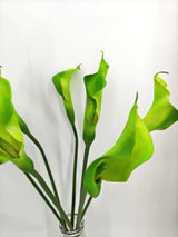 Artificial Calla Lily Flower Stem - Large - Green