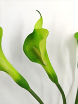 Artificial Calla Lily Flower Stem - Large - Green