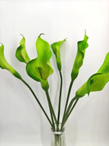 Artificial Calla Lily Flower Stem - Large - Green
