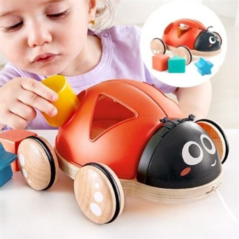 Shape Sorter - Hape Ladybug