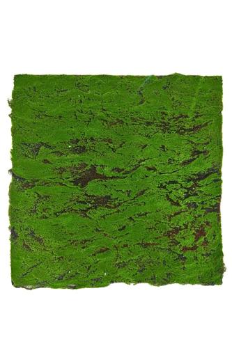 Lush Moss Panel - Premium