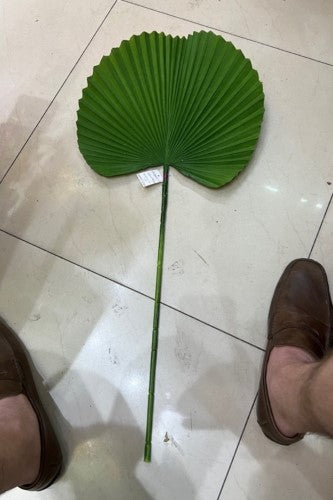Artificial - Round Palm Leaf  - Pack of  2