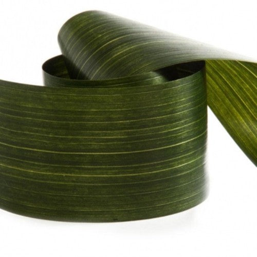 Ribbon - Tear Aspidistra Leaf (Green)