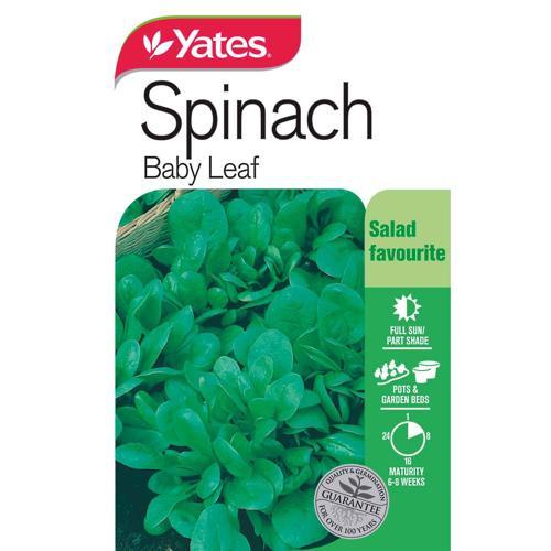 Spinach 'Baby Leaf' Seeds - Yates
