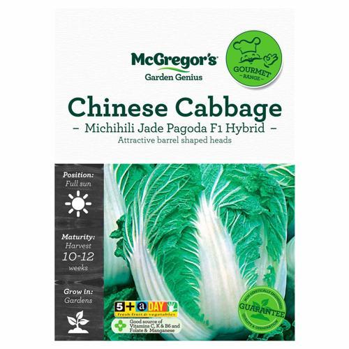 Michihili Jade Pagoda F1 Hybrid Chinese Cabbage Gourmet Seed - McGregor's